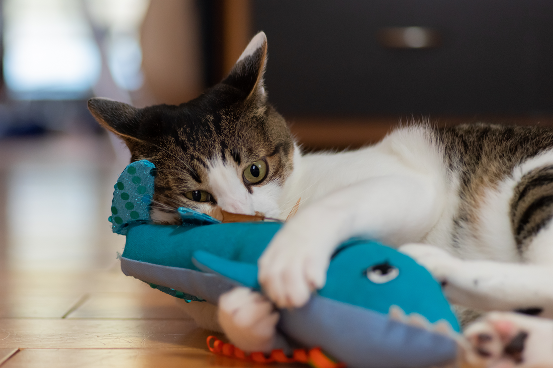 Choosing the Right Toys for Your Pet: A Comprehensive Guide